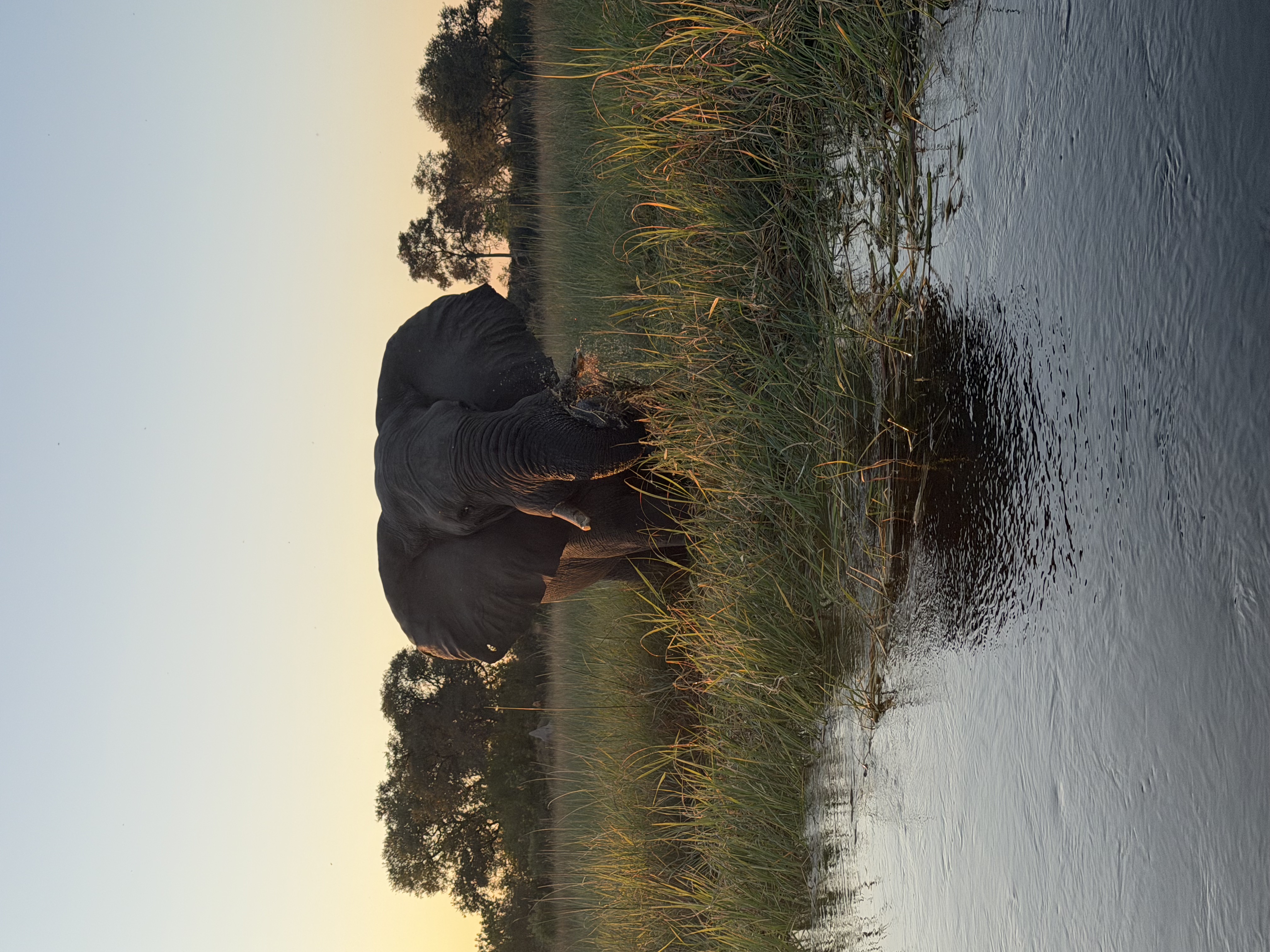 This was our fourth safari