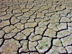 The Drought and Clay Soil